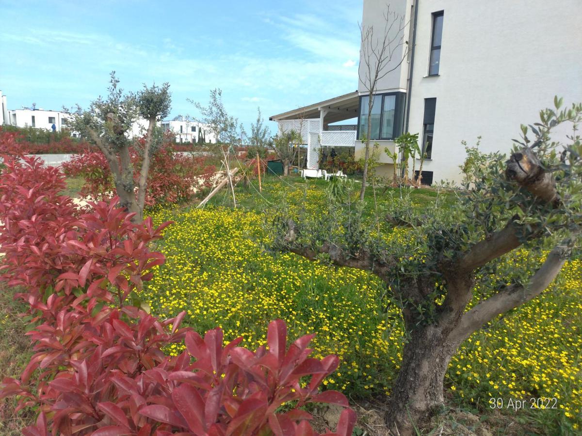 Welcome Beach Apartment Hamallaj Екстериор снимка